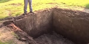 My father-in-law bulldozed my treasured flower garden to install his own pool without asking—and karma came crashing down on him
