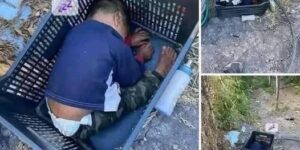 This approximately 2-year-old boy was found… See more