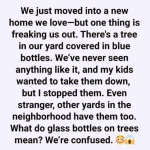 The Hidden Meaning Behind Glass Bottle Trees