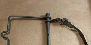 Can You Identify This Brass Beauty?