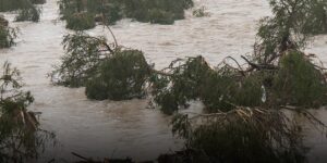 Disturbing Before And After Pictures Of Texas River Show Devastating Impact Of Flash Floods