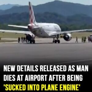 Man dies after being ‘sucked’ into jet engine before takeoff