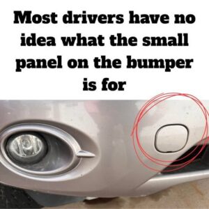 The Hidden Panel on Your Bumper Has a Life-Saving Purpose