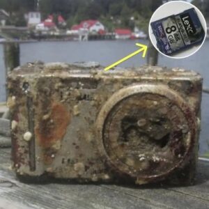Diver Develops Film From Camera Found At Bottom Of Sea, Freezes Up When He Sees Face