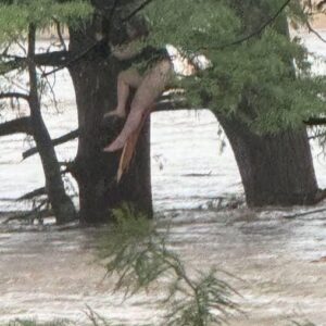Breaking News: Missing Camp Girl Found 12 Miles Downriver in Texas Amid Historic Flooding