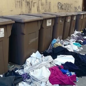 MY LANDLORD TOSSED MY STUFF IN THE TRASH BINS AND KICKED ME OUT – THE NEXT DAY, SHE WAS DRAGGING HER OWN BELONGINGS TO THE CURB