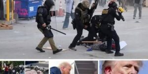 U.S president Donald Trump has just been involved….