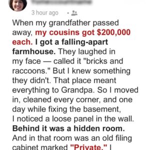 My Relatives Laughed at the Inheritance I Got from Grandpa