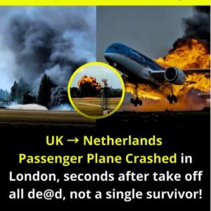 The plane crashed seconds after takeoff