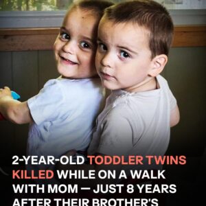 Tragic Crash Claims Lives of Twin Boys During Walk With Their Mother