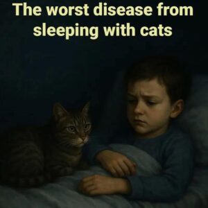 Do you sleep with your cat? This is the worst disease you could unknowingly catch.