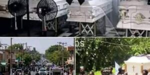 Father kills family just because they did it… See more
