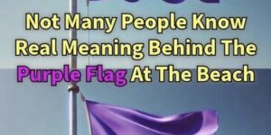 The Meaning of a Purple Flag at the Beach