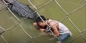 Tourist’s selfie stunt in crocodile enclosure takes deadly turn