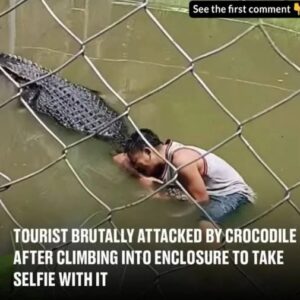 Tourist’s selfie stunt in crocodile enclosure takes deadly turn