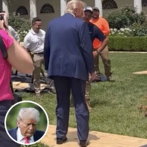 Photo Of Trump At White House Rose Garden Turns Heads After People Spot Small Detail