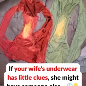 Did You Know? Small Clues on Underwear Can Reveal Signs of Infidelity
