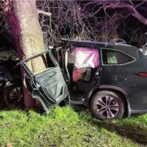 Movie legend has died today in a tragic car accident. He was driving alone when he smashed into a tree. The video is hard to watch: details in the first comment