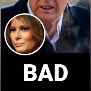 Scrutiny Over Melania Trump’s ‘Einstein Visa’