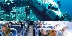 They find missing plane after 40 years with over 92 pa…