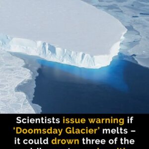 ‘Doomsday Glacier’ could swallow major cities amid collapse risk