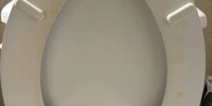 How I Got Rid of a Yellow Toilet Ring Without Replacing the Seat