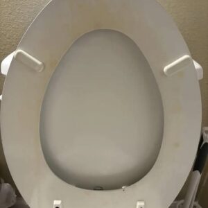 How I Got Rid of a Yellow Toilet Ring Without Replacing the Seat