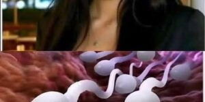 DOCTORS reveal that SWALLOWING your partner’s semen prov… See more