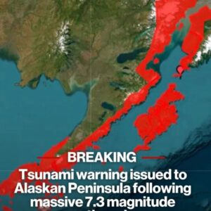 Tsunami warning issued to Alaskan Peninsula following massive 7.3 magnitude earthquake