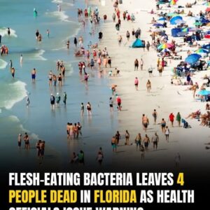 Deadly Waterborne Threat: Flesh‑Eating Bacteria Kills 4 In Florida Beaches
