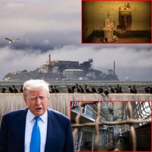 Trump Admin Prepares to Reopen Alcatraz 62 Years After Its Closure: See How the Notorious Island Prison Looks Today