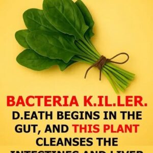 How to use this plant to eliminate parasites and bacteria from the intestine