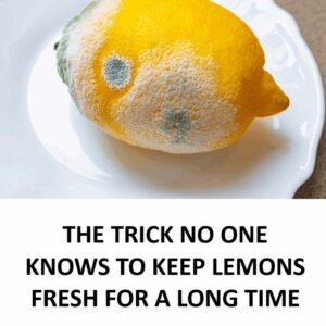 How to Keep Lemons Fresh Longer and Prevent Mold