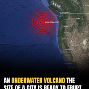 Pacific Northwest Faces Deep Sea Fury: Undersea Volcano Inches Toward Eruption