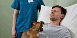 The dog that woke his master!