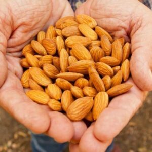 Nutritional values of almond milk