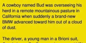 Wealthy Yuppie Tries To Outsmart Cowboy His Response ls Perfect!