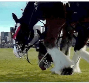 This touching 9/11 Budweiser commercial paying tribute to our nation only aired once