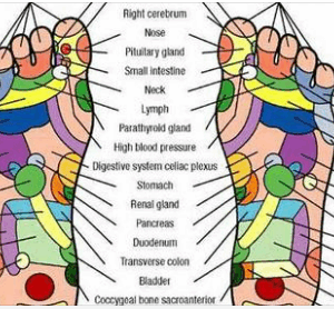 Press These Points for Wherever You Have Pain – Every Body Part is Linked to Your Palm and Foot