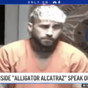 “Mosquitoes the Size of Elephants” — Inside the Nightmare of Alligator Alcatraz