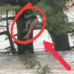 MIRACLE: Young Girl Found Alive 12 Miles Downstream in Texas Flood