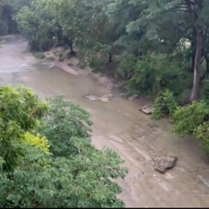 JUST IN: 2 Girls Rescued Alive After Clinging to a Tree for 3 Days During Texas Flood