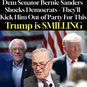 Bernie Sanders Turns on Democrats in Stunning Border Statement
