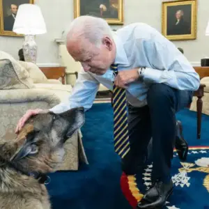 JOE BIDEN has announced the death of his… so sad