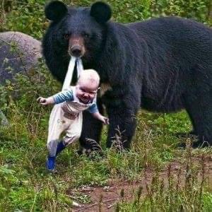 Bear Refuses To Let Baby Go – Ranger Bursts Into Tears When He Discovers Why….. CHECK FIRST COMMENT