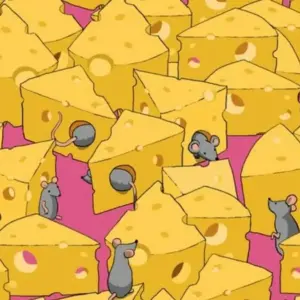 Օptical Illusion fօr IQ Test: People with High Intelligence can solve this Optical Illusion Test. Օnly 1% of Peօple can find the dice between the mice and the cheese in 11 secօnds.