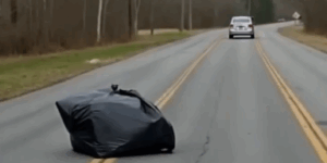 Strange Object Thrown From Car in Motion — What Was Inside Sparked Panic