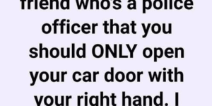 I Just Learned from My Friend Who’s a Police Officer That You Should ONLY Open Your Car Door With Your Right Hand. I Repeat, Only With Your RIGHT Hand.