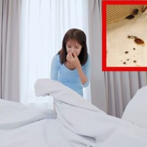 How Often You Should Wash Your Sheets and Bedding