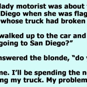 A Blonde Woman Is Asked to Take Two Chimpanzees to the San Diego Zoo